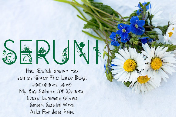 Flowrish Font - Preview 5