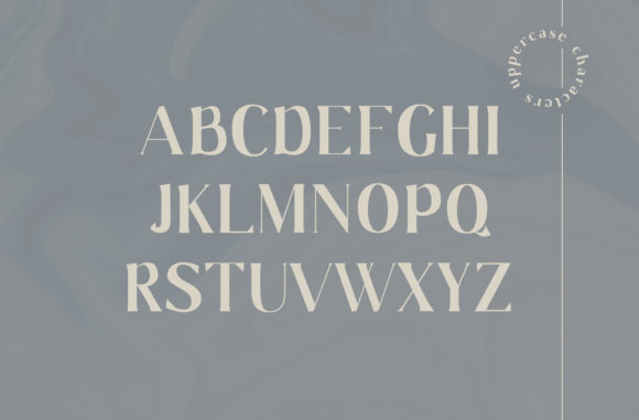 Gaskin Font - Preview 2