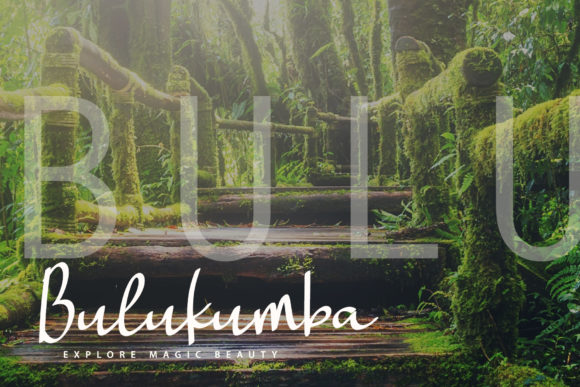 Landing Surely Font PNG with transparent background - Preview 2