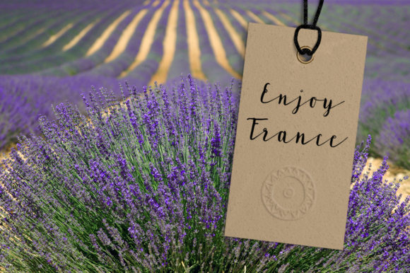 Lavandia Font PNG with transparent background - Preview 3