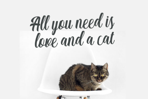 Matilda Anderson Duo Font font preview - 2