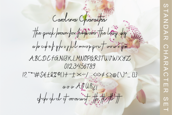 Mellanis Font PNG with transparent background - Preview 1