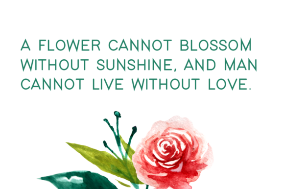 Memixio Font PNG with transparent background - Preview 2