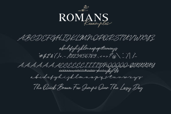 Romans Rexamples Duo Font PNG with transparent background - Preview 6