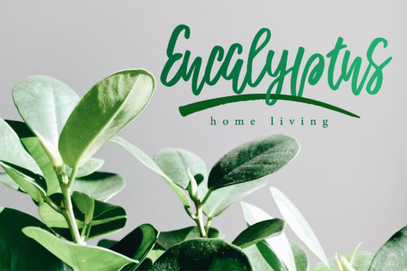 Romantica Script Font PNG with transparent background - Preview 6
