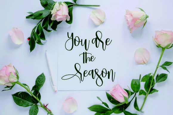 Sallynda Script Font PNG with transparent background - Preview 3