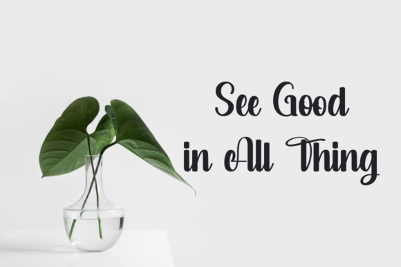 Salsabella Font PNG with transparent background - Preview 6