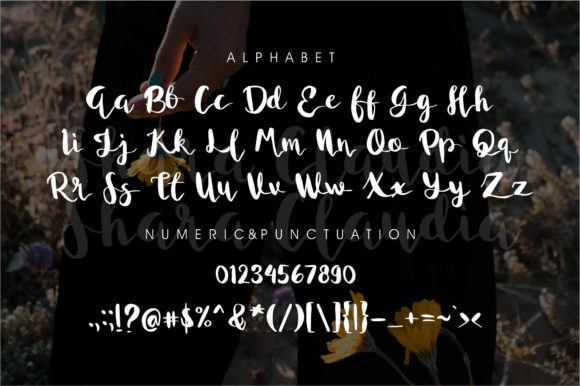 Shara Claudia Font PNG with transparent background - Preview 1