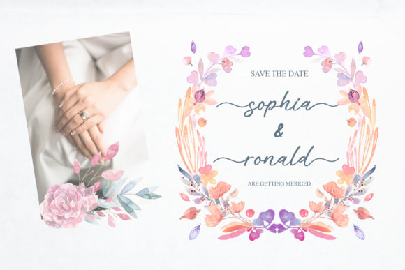 Alisha Font - Preview 3