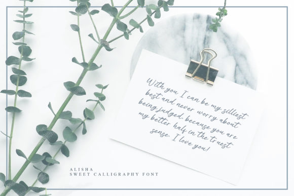 Alisha Font - Preview 4