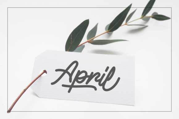 Alvaro Font - Preview 4
