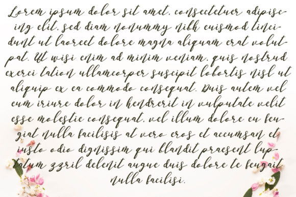 Anasoly Italic Font - Preview 1