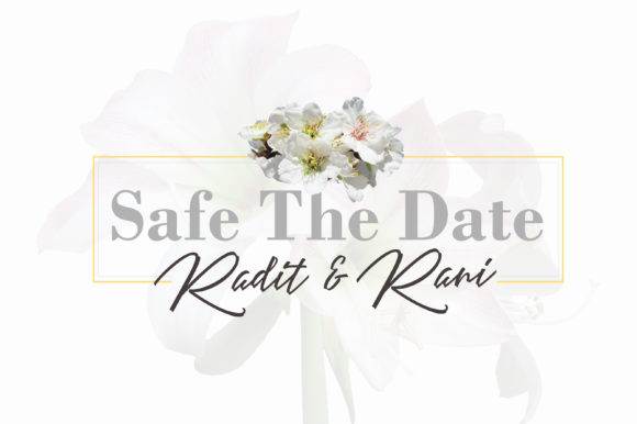 Angelines Script Font - Preview 1
