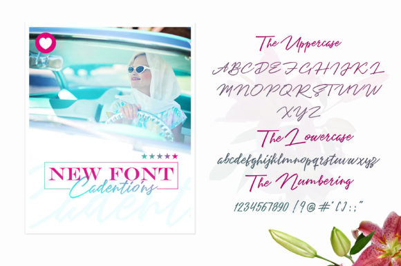 Angelines Script Font - Preview 4