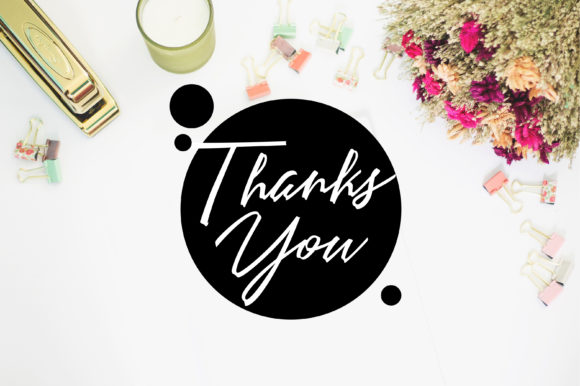 Angelines Script Font - Preview 6