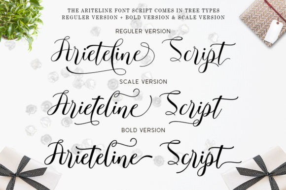 Ariteline Script Font - Preview 2