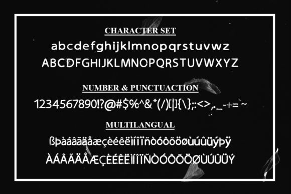 Brush Style Font - Preview 4