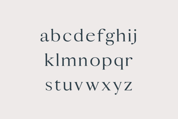 Calean Family Font - Preview 2