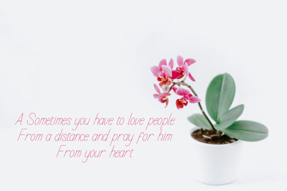 Calysta Font - Preview 1