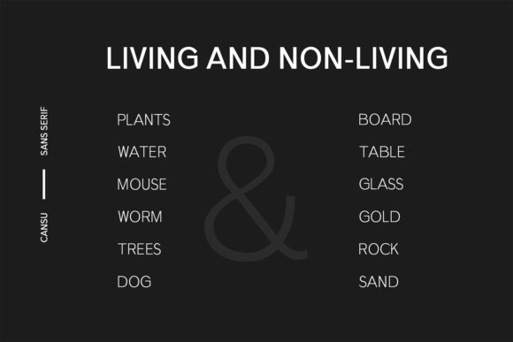 Cansu Family Font - Preview 4
