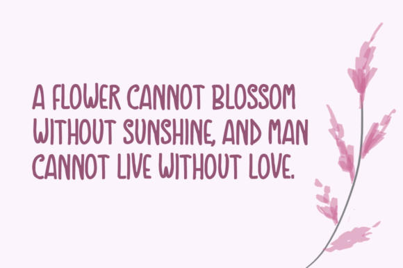 Debutant Font - Preview 1