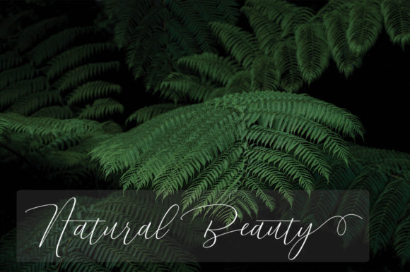 Dhenmark Duo Font - Preview 6