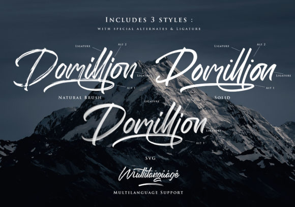 Domillion Font - Preview 6