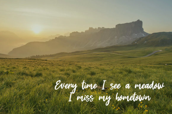 Dream Meadow Font PNG with transparent background - Preview 4