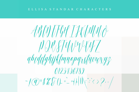 Ellisa Script Font - Preview 4