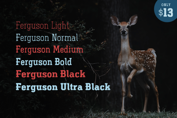 Ferguson Family Font - Preview 4