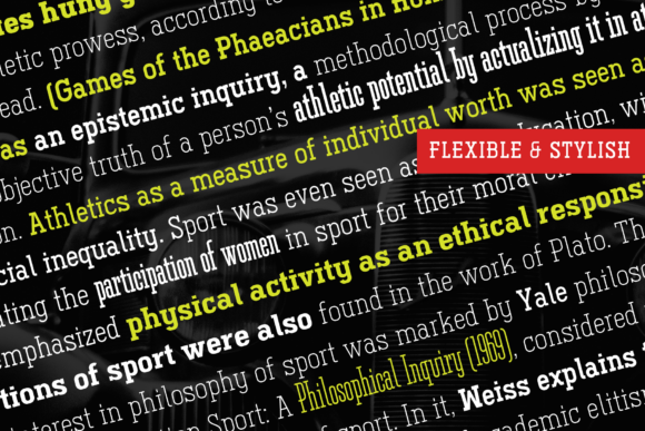 Ferguson Family Font - Preview 5