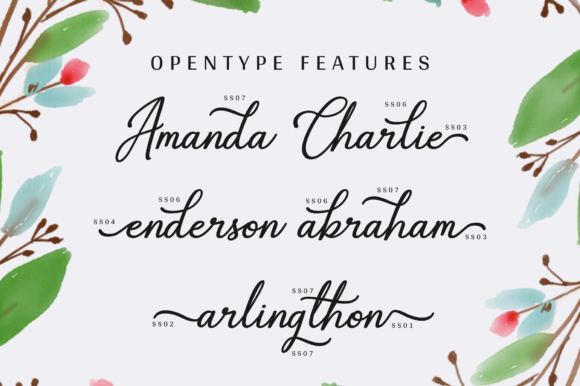 Gabryna Font PNG with transparent background - Preview 1