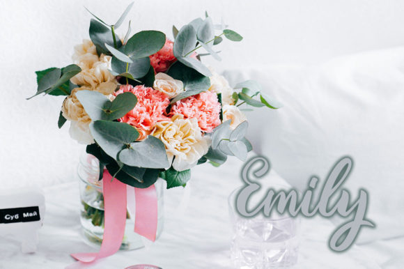 Gallisia Script Font - Preview 2