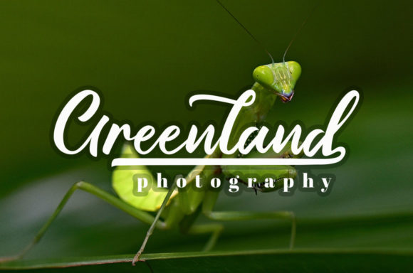 Gallisia Script Font - Preview 5
