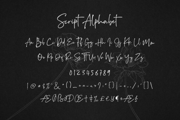 Grand Quentin Duo Font PNG with transparent background - Preview 1