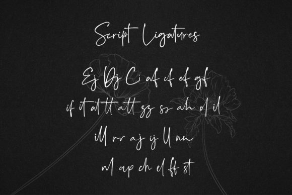 Grand Quentin Duo Font PNG with transparent background - Preview 2