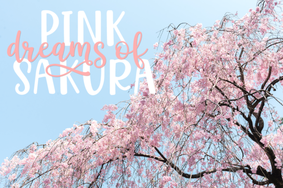 Hello Sakura Font PNG with transparent background - Preview 1
