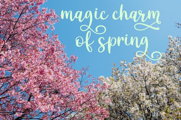 Hello Sakura Font PNG with transparent background - Preview 5