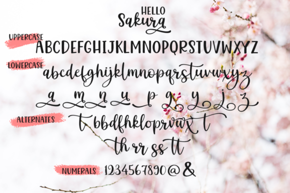 Hello Sakura Font PNG with transparent background - Preview 6