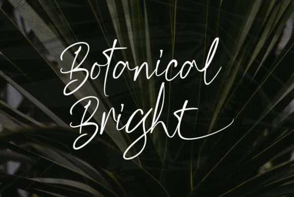 Kiysoom Font - Preview 6