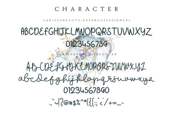 Larissa Beauty Font PNG with transparent background - Preview 1
