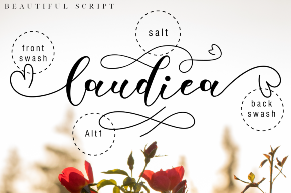 Laudiea Script Font PNG with transparent background - Preview 5