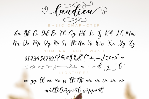 Laudiea Script Font PNG with transparent background - Preview 6
