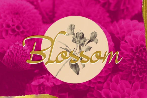 Magenta Rose Font PNG with transparent background - Preview 4