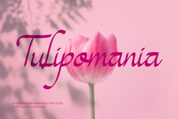 Magenta Rose Font PNG with transparent background - Preview 5