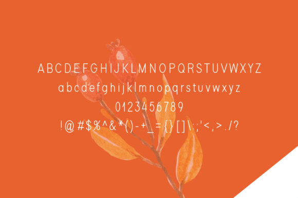 Mintic Font PNG with transparent background - Preview 3