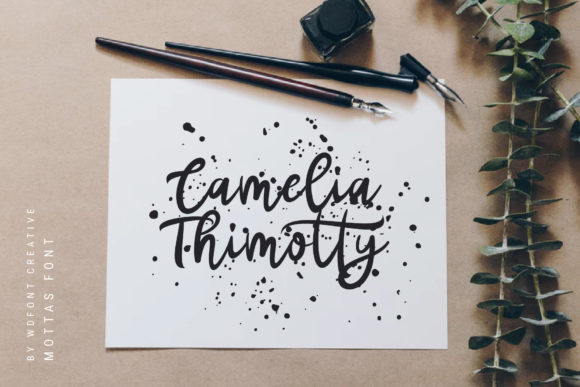 Mottas Script Font font preview - 3
