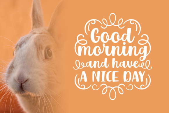 Mr. Rabbit Font Font PNG with transparent background - Preview 1