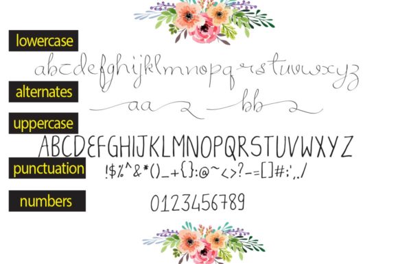 Nemana Font PNG with transparent background - Preview 1