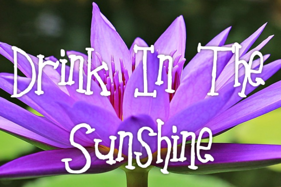 Picnic for Two Cosy Font PNG with transparent background - Preview 1